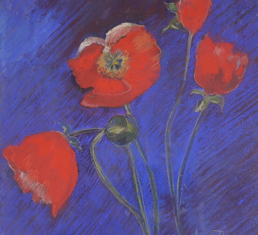 Madge Bright, two pastels, Studies of poppies, signed, 28 x 28cm and 26 x 26cm